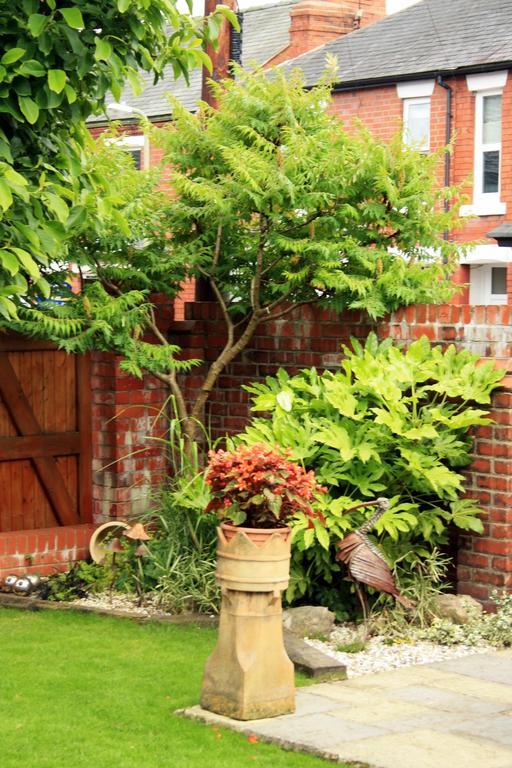 Laurels Bed & Breakfast Oswestry Ngoại thất bức ảnh
